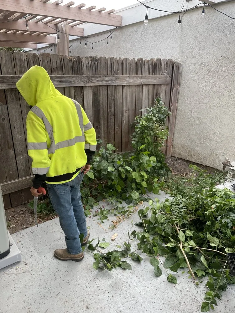 Professional lawn care service in Riverside, CA - Gabriel's Landscaping