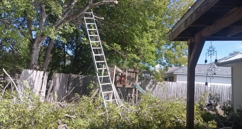 Trusted residential landscaping in San Antonio, TX - Gabriel’s Landscaping