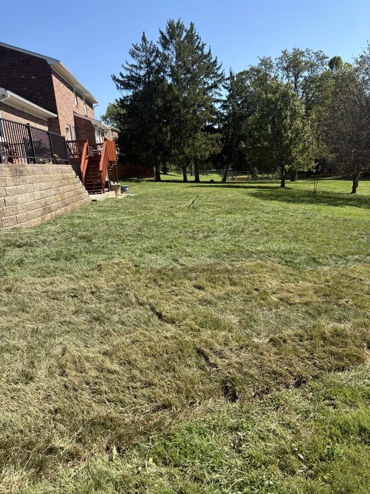 Affordable yard cleanup service in Crestwood, KY by Gabriel's Lawn and Landscape