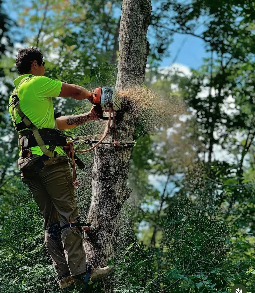 Expert lawn care service for beautiful yards across Crestwood, KY - Gabriel's Lawn and Landscaping