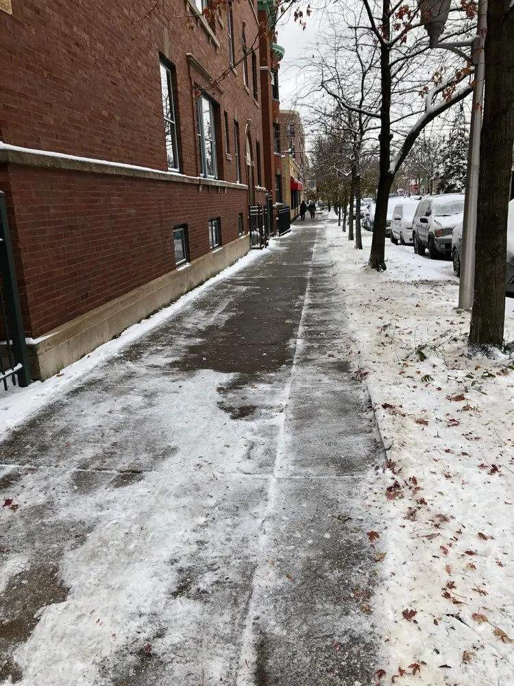 Professional yard maintenance in Cicero, IL by Gabriel's Lawncare