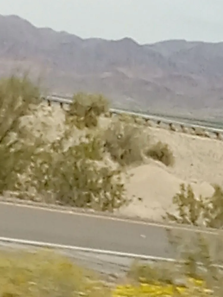 Professional lawn mowing service for outdoor upgrades across Lake, MI - Gabriel’s Mowing Service