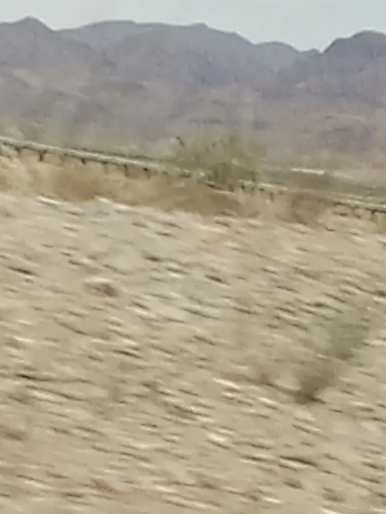 Local residential landscaping experts serving Lake, MI - Gabriel’s Mowing Service