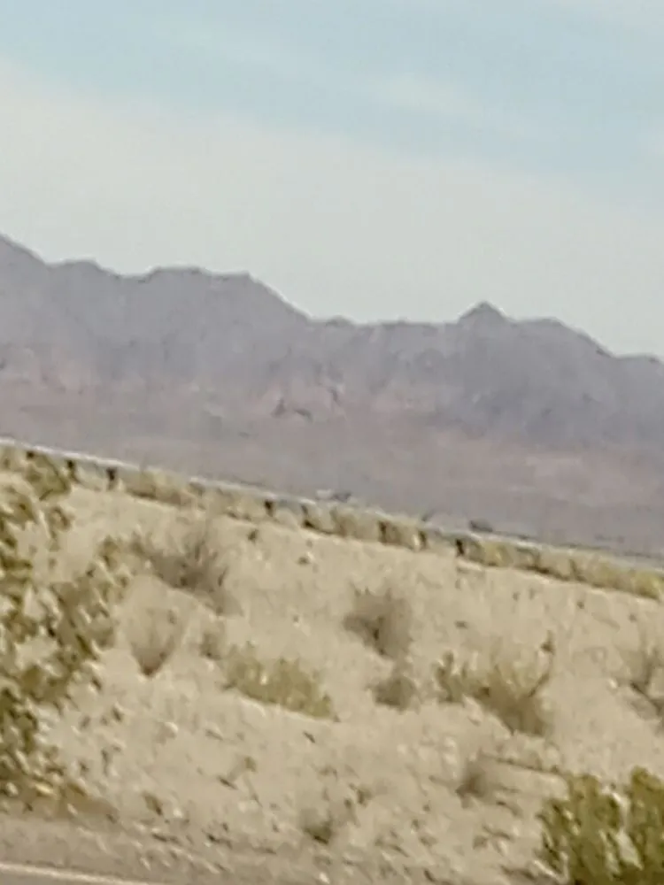 Custom landscaping services in Lake, MI by Gabriel’s Mowing Service