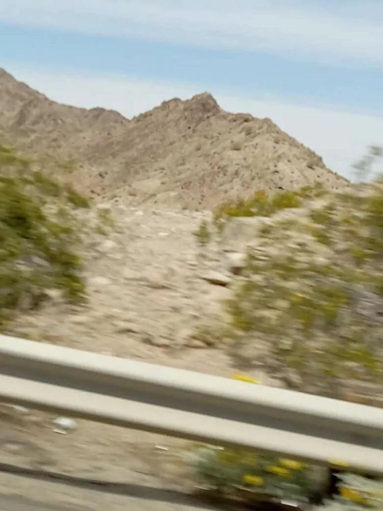 Local yard maintenance in Lake, MI - Gabriel’s Mowing Service