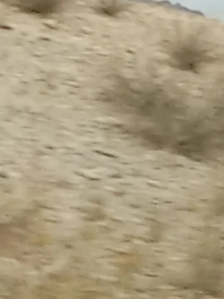 Expert landscape installation experts serving Lake, MI - Gabriel’s Mowing Service