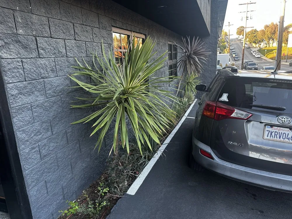 Local lawn care service in Los Angeles, CA by Gabriel's Tree Service