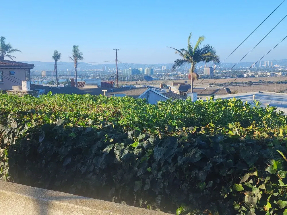 Reliable landscape design for outdoor upgrades in Los Angeles, CA by Gabriel's Tree Service