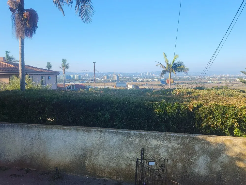 Reliable yard maintenance in Los Angeles, CA by Gabriel's Tree Service