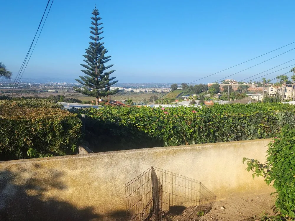 Reliable landscaping services experts serving Los Angeles, CA - Gabriel's Tree Service