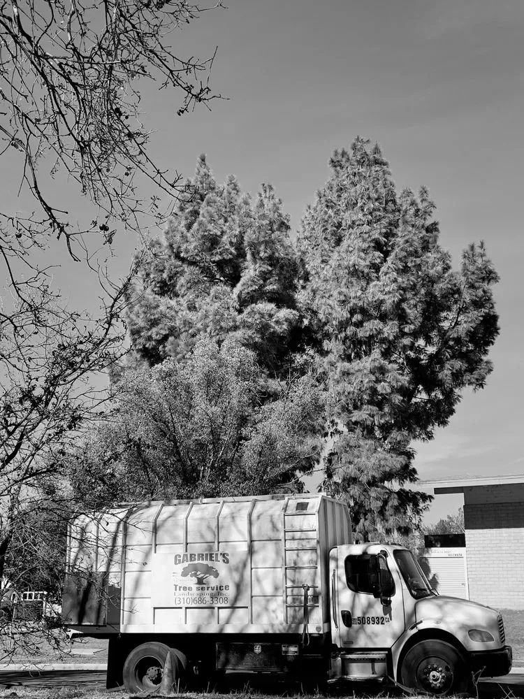 Expert lawn mowing service for year-round maintenance across Los Angeles, CA - Gabriel's Tree Service