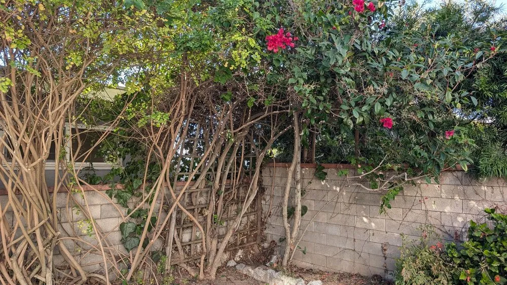 Affordable outdoor landscaping for beautiful yards in Los Angeles, CA by Gabriel's Tree Service