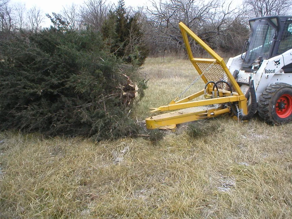 Expert yard cleanup service for year-round maintenance in Murrieta, CA by Gabriel's Tree Service
