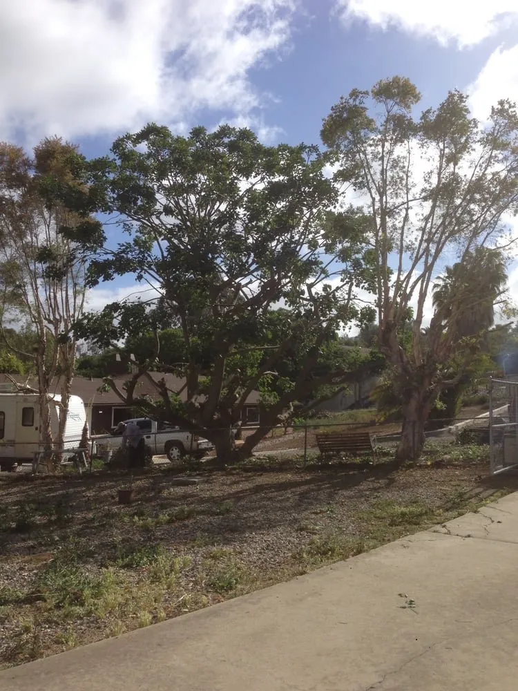 Local garden landscaping experts serving Murrieta, CA - Gabriel's Tree Service