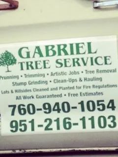 Reliable landscape design experts serving Murrieta, CA - Gabriel's Tree Service