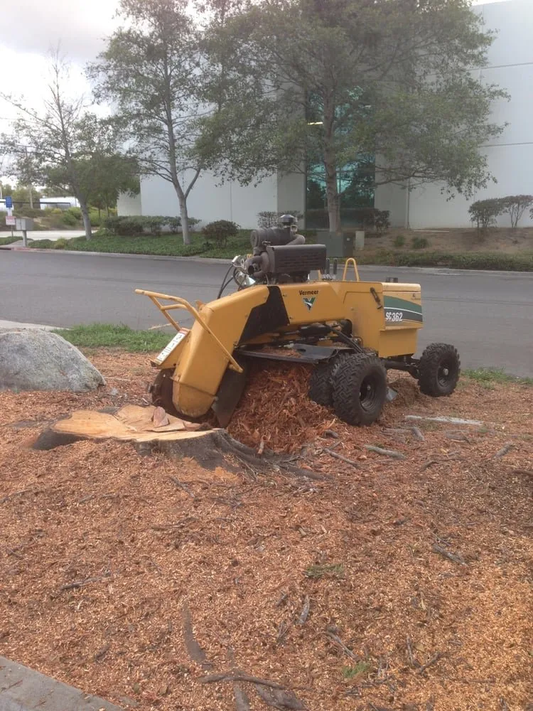 Professional garden landscaping experts serving Murrieta, CA - Gabriel's Tree Service