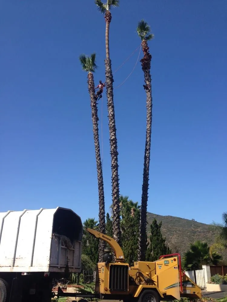Top-rated landscape installation for residential properties across Murrieta, CA - Gabriel's Tree Service