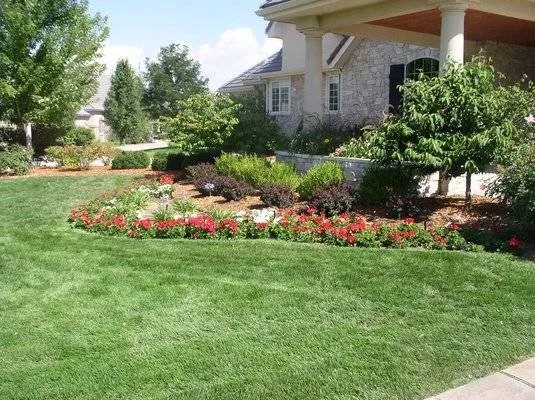 Reliable yard maintenance in Murrieta, CA - Gabriel's Tree Service