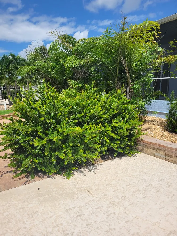 Top-rated residential landscaping in Fort Myers, FL by GabrielsLawnServices