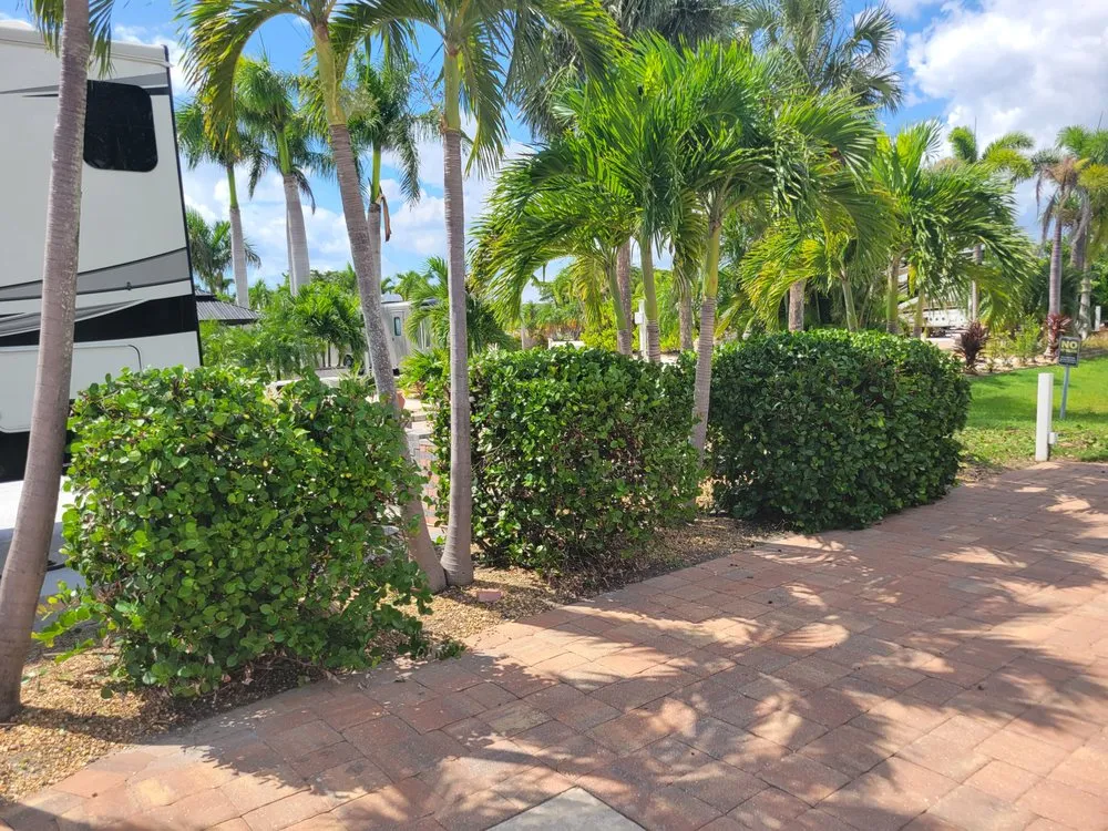 Trusted lawn care service experts serving Fort Myers, FL - GabrielsLawnServices