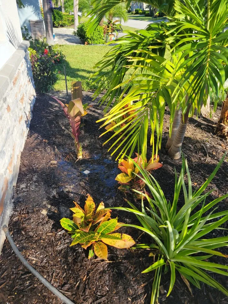 Top-rated yard maintenance in Fort Myers, FL by GabrielsLawnServices