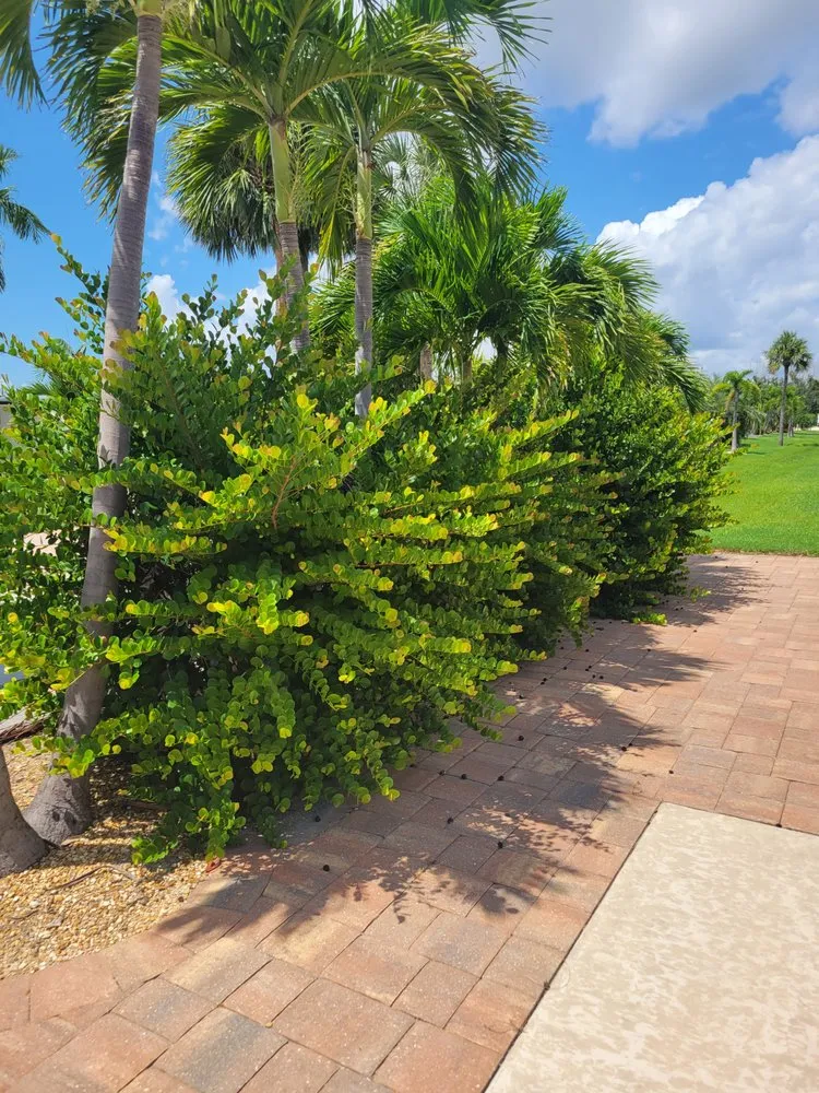 Trusted landscape design in Fort Myers, FL - GabrielsLawnServices