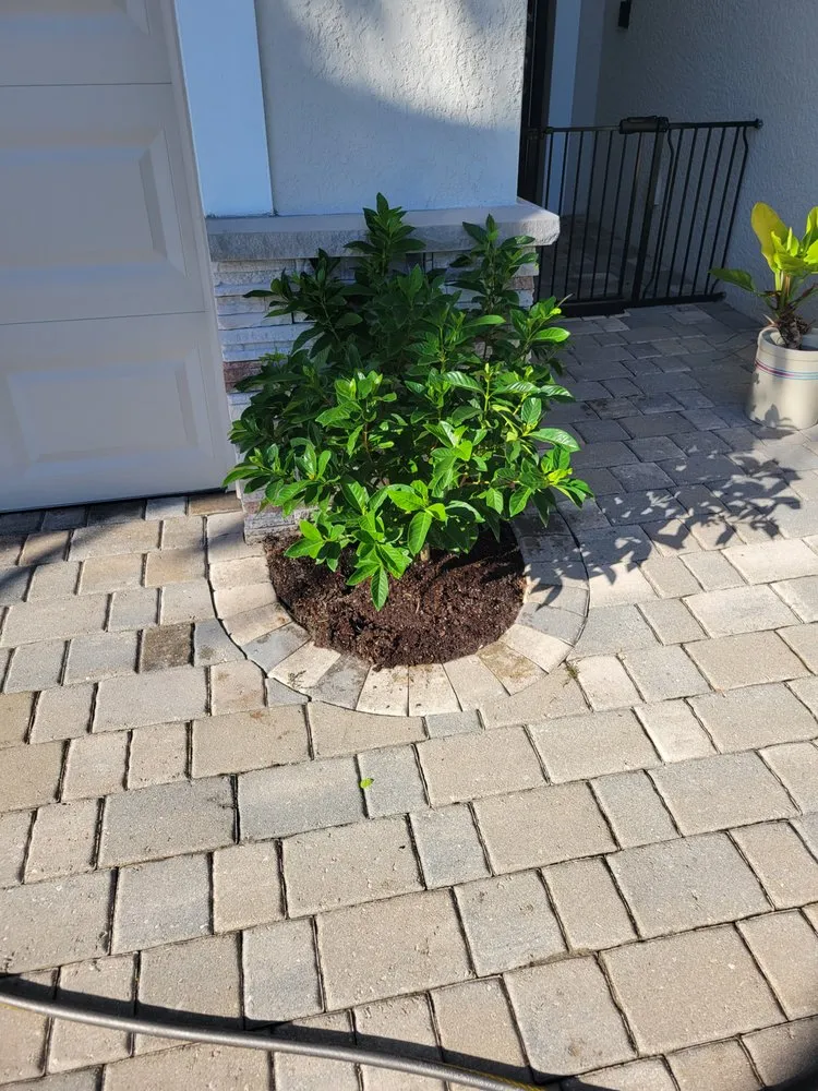 Local residential landscaping in Fort Myers, FL by GabrielsLawnServices