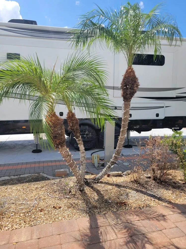 Top-rated landscaping services experts serving Fort Myers, FL - GabrielsLawnServices