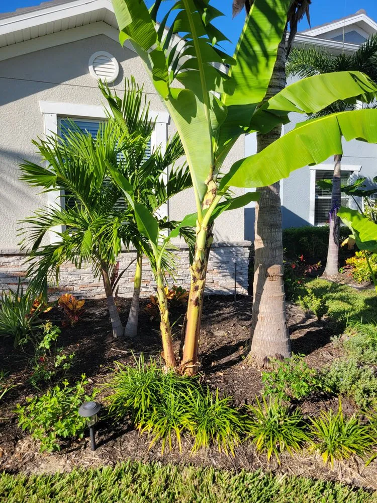 Reliable landscaping services for homes across Fort Myers, FL - GabrielsLawnServices