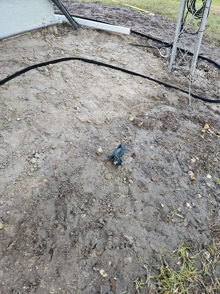 Local landscaping services in Fort Myers, FL by GabrielsLawnServices