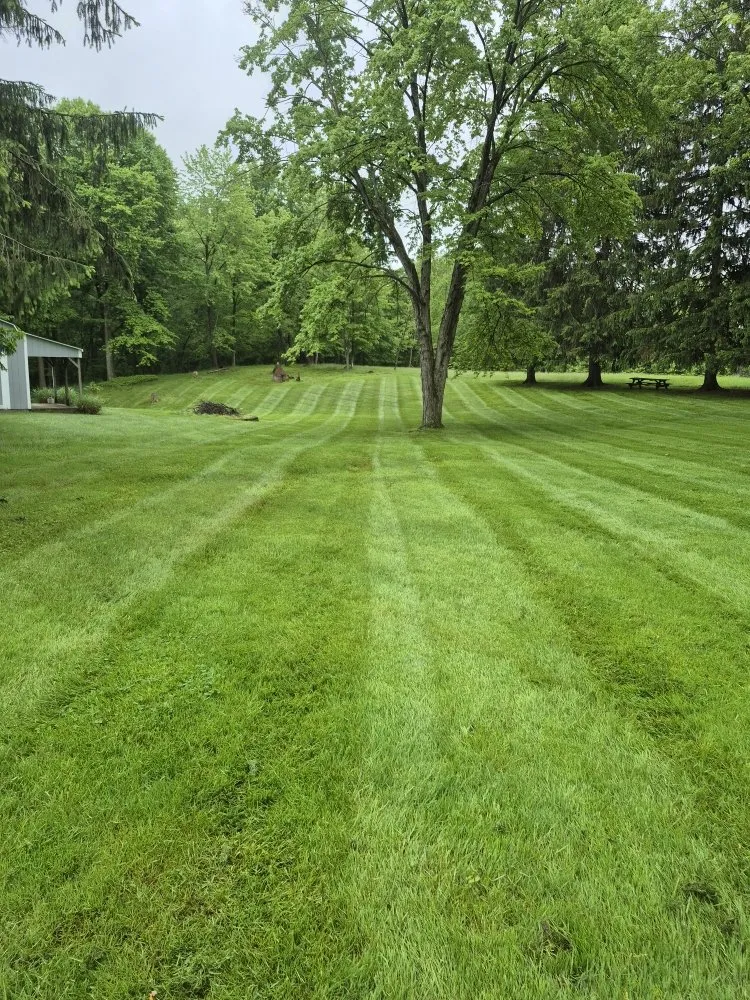 Custom lawn care service for beautiful yards across Painesville, OH - Gabriola s' Brothers Landscaping