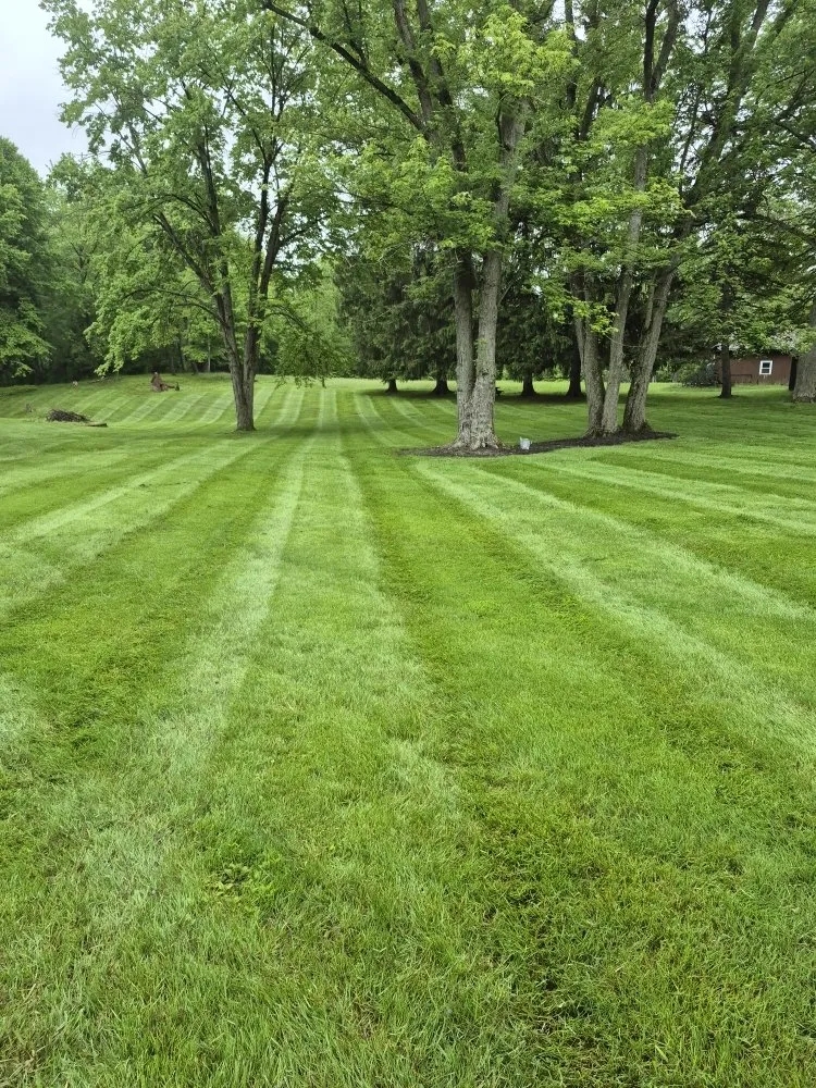 Affordable outdoor landscaping for homes across Painesville, OH - Gabriola s' Brothers Landscaping