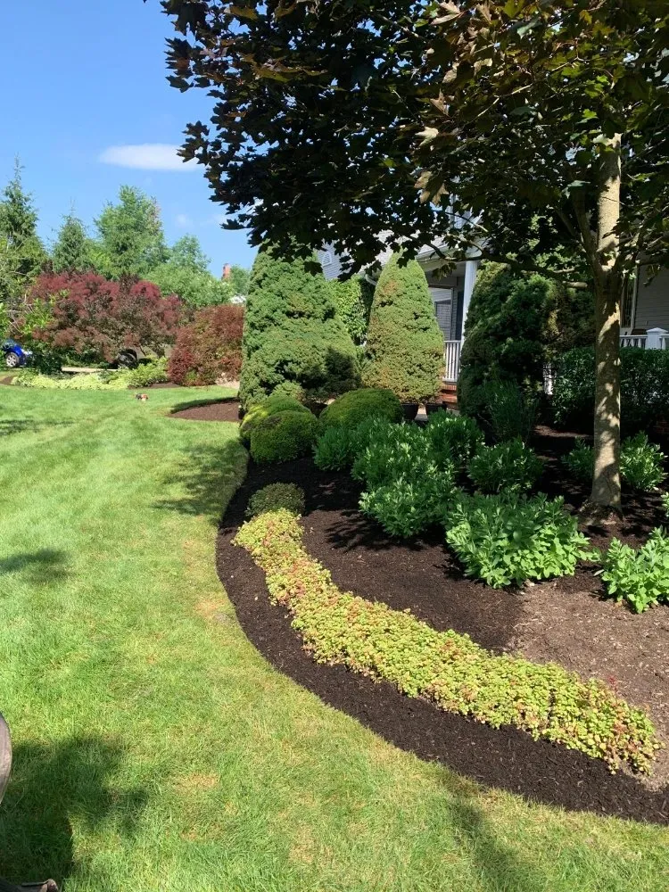 Reliable lawn care service in Painesville, OH by Gabriola s' Brothers Landscaping