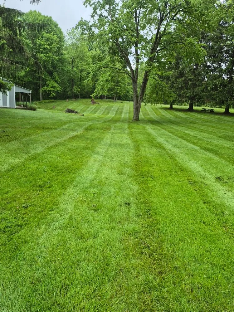 Local landscape design in Painesville, OH by Gabriola s' Brothers Landscaping