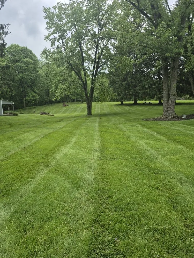 Professional lawn care service for outdoor upgrades in Painesville, OH by Gabriola s' Brothers Landscaping