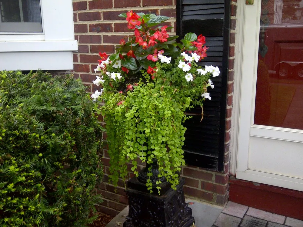 Trusted residential landscaping with custom design across Bloomfield, NJ - Gaccione Landscaping