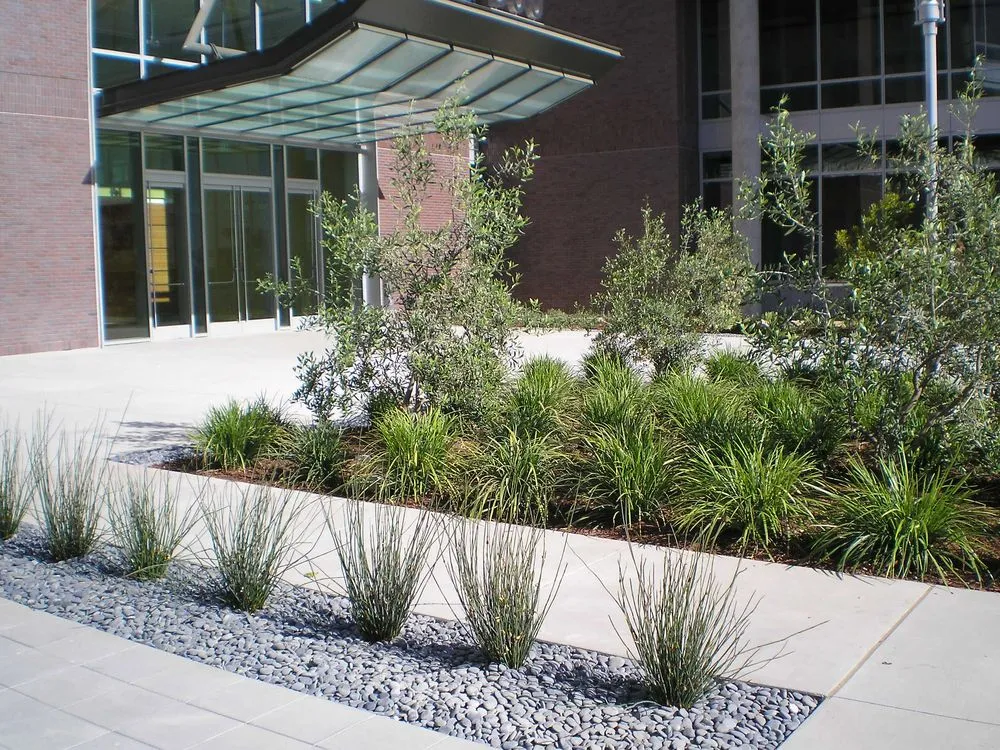 Reliable landscaping services experts serving Menlo Park, CA - Gachina Landscape Management