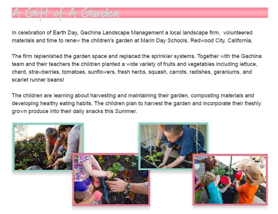 Reliable yard cleanup service in Menlo Park, CA by Gachina Landscape Management