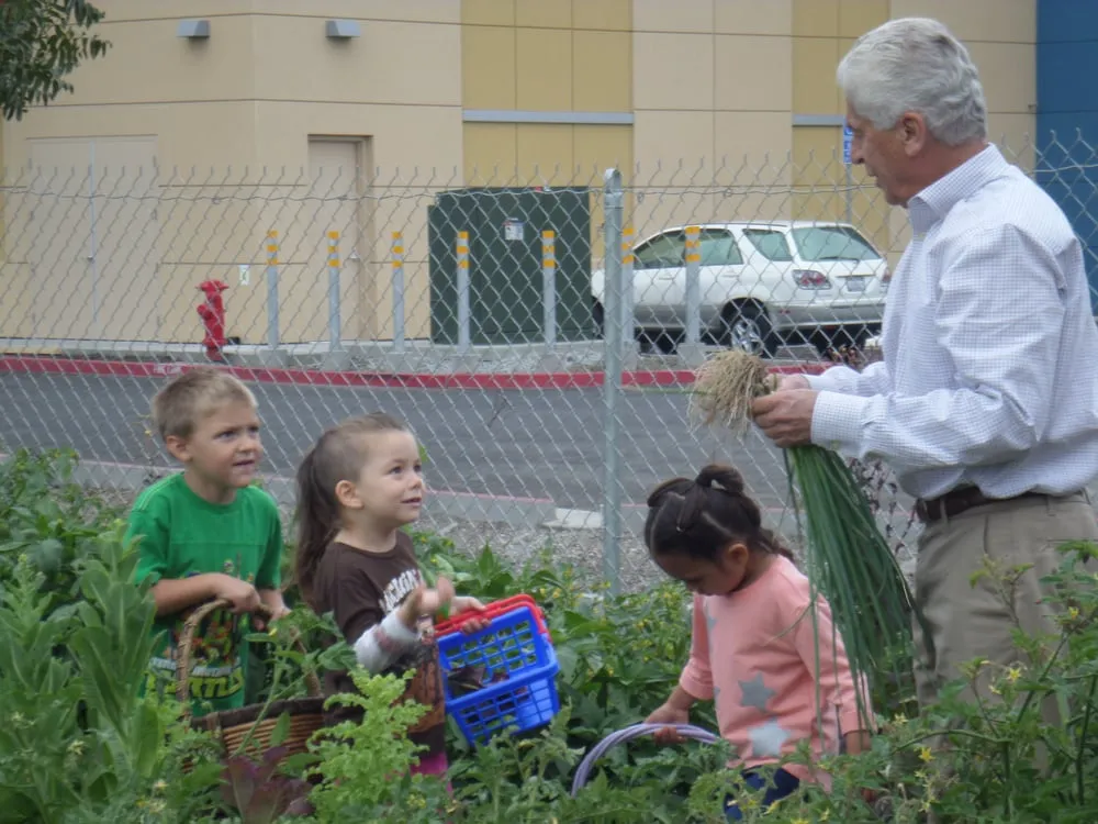 Affordable lawn mowing service in Menlo Park, CA by Gachina Landscape Management