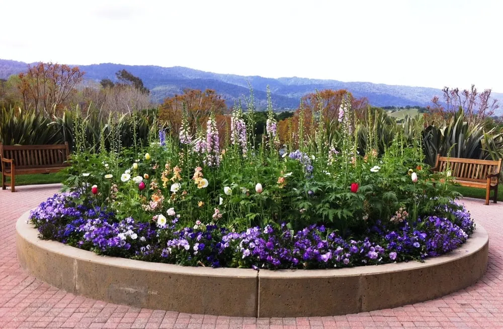 Local garden landscaping for year-round maintenance in Menlo Park, CA by Gachina Landscape Management