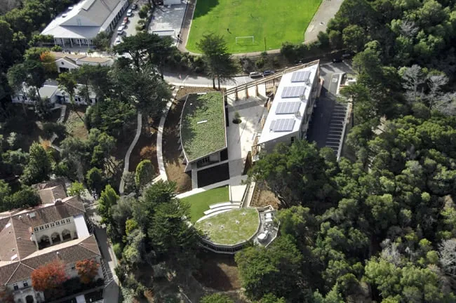 Affordable yard cleanup service experts serving Menlo Park, CA - Gachina Landscape Management