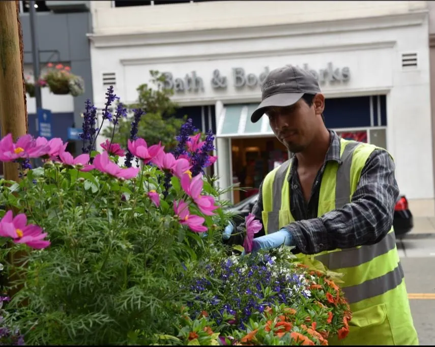 Reliable landscape design for year-round maintenance in Menlo Park, CA by Gachina Landscape Management