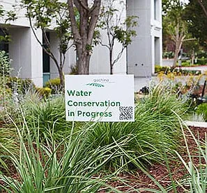 Local landscaping services near you in Menlo Park, CA by Gachina Landscape Management