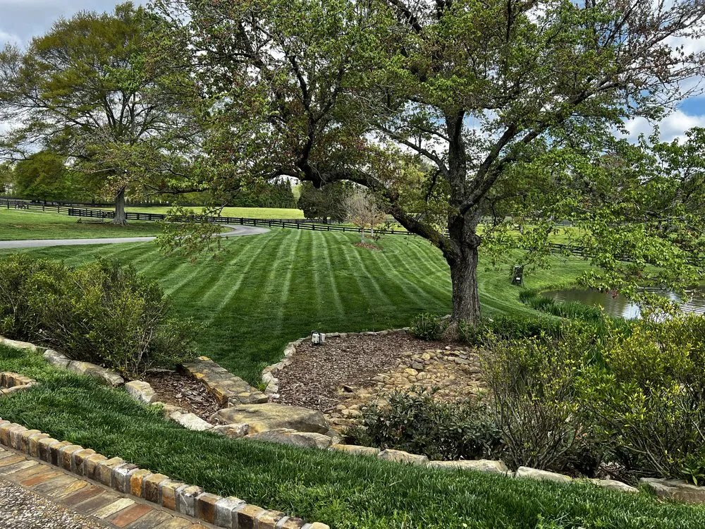 Affordable residential landscaping near you across Canton, GA - Gaddy Outdoors