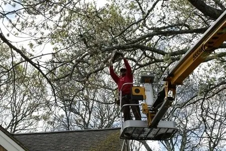 Top-rated yard cleanup service in Hyannis, MA - Gade Masonry & Landscaping