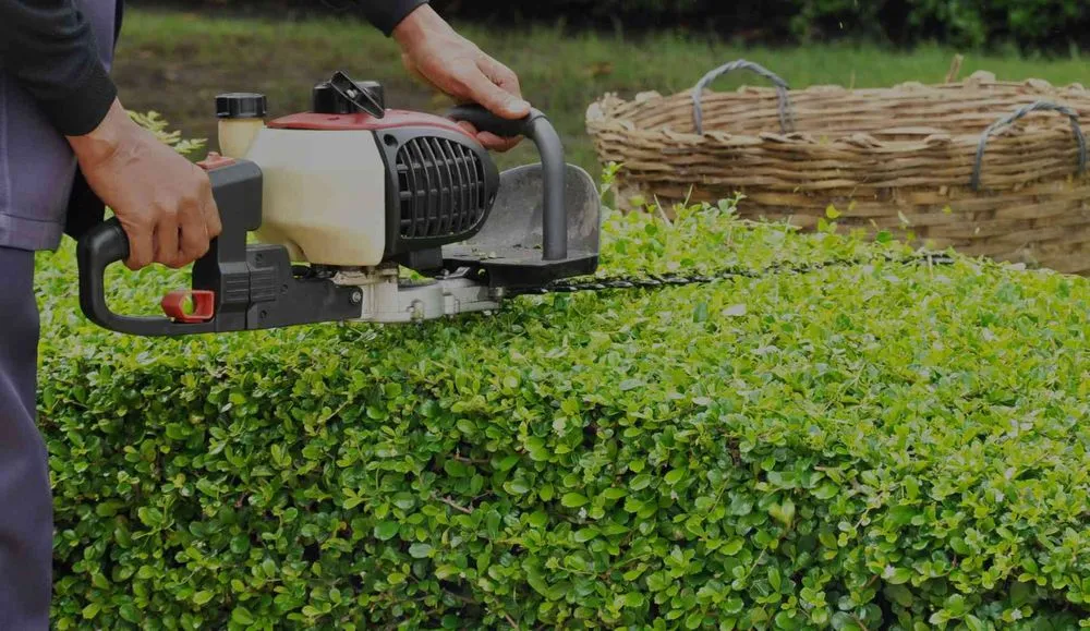 Custom landscaping services in Stuart, FL by GAF Professional Landscaping