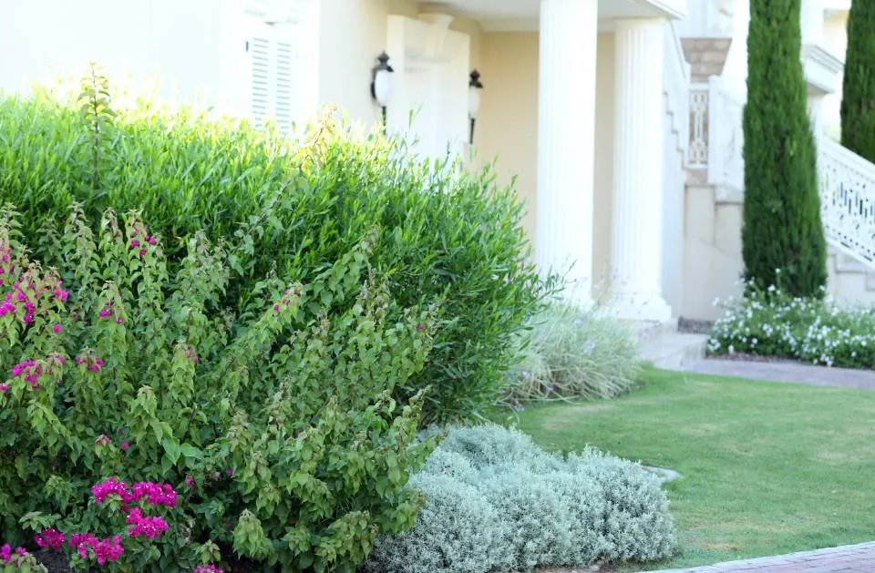 Trusted garden landscaping experts serving Stuart, FL - GAF Professional Landscaping