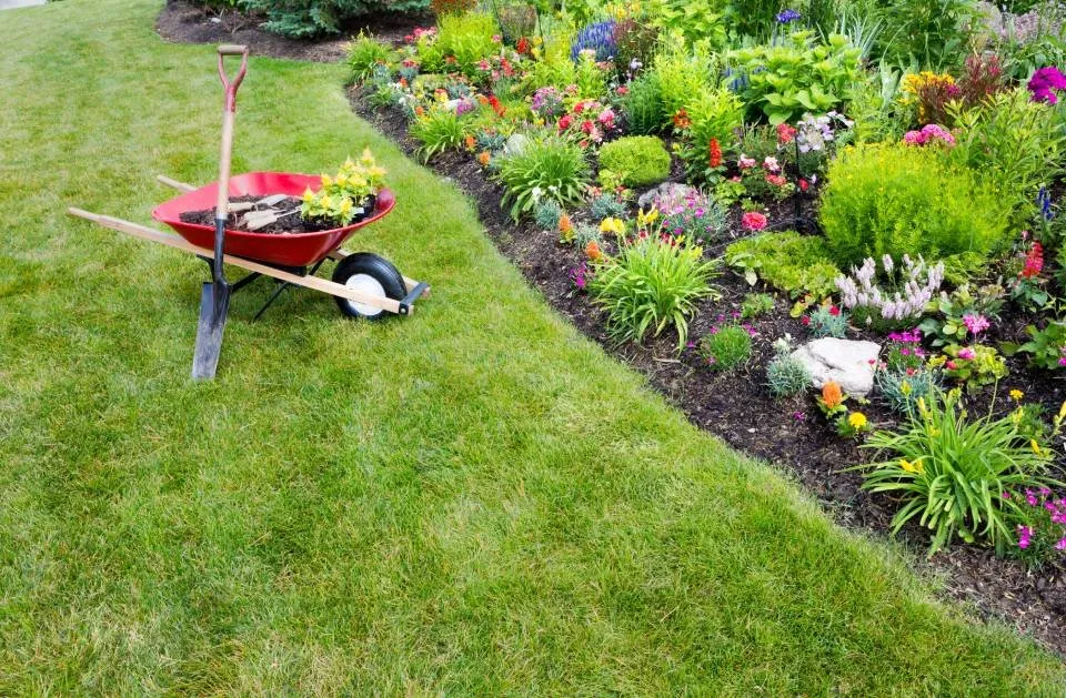 Top-rated yard maintenance near you across Stuart, FL - GAF Professional Landscaping