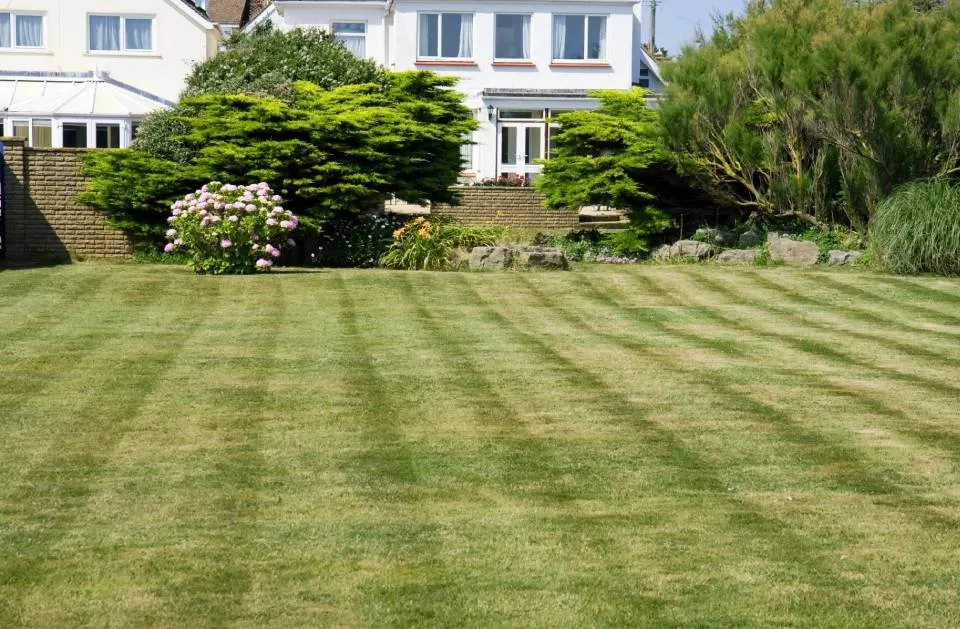 Professional landscaping services experts serving Stuart, FL - GAF Professional Landscaping