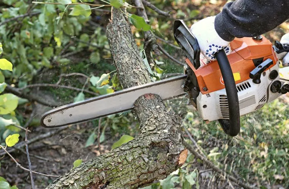 Custom yard maintenance experts serving Stuart, FL - GAF Professional Landscaping